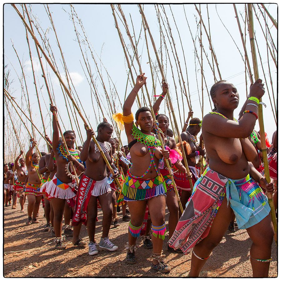 Royal Reed Dance  - Photo Alain Besnard