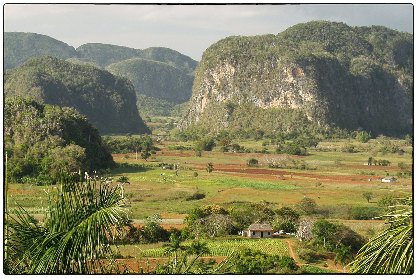 Mogotes - Photo Alain Besnard