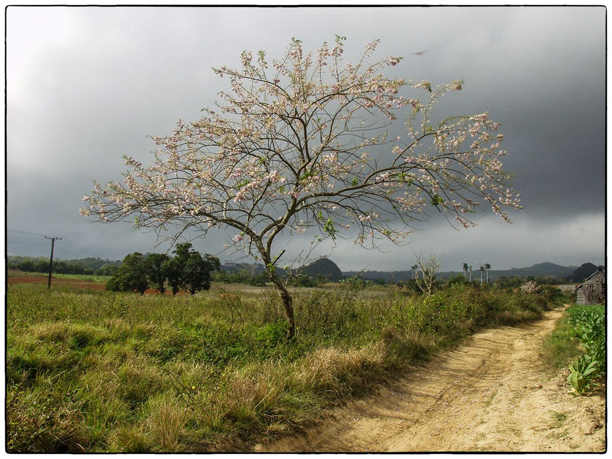 Ciel chargé - Photo Alain Besnard