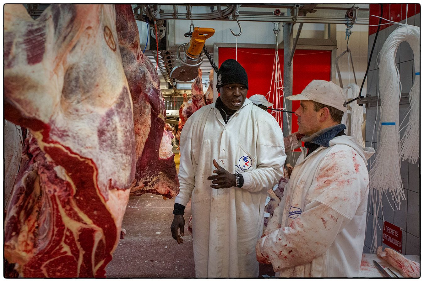 Rungis - Photo Alain Besnard