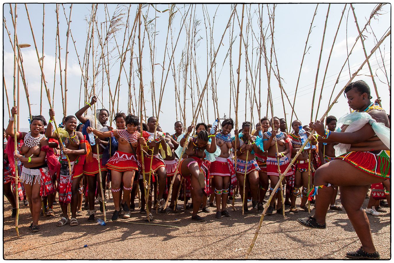 Royal Reed Dance - Photo Alain Besnard