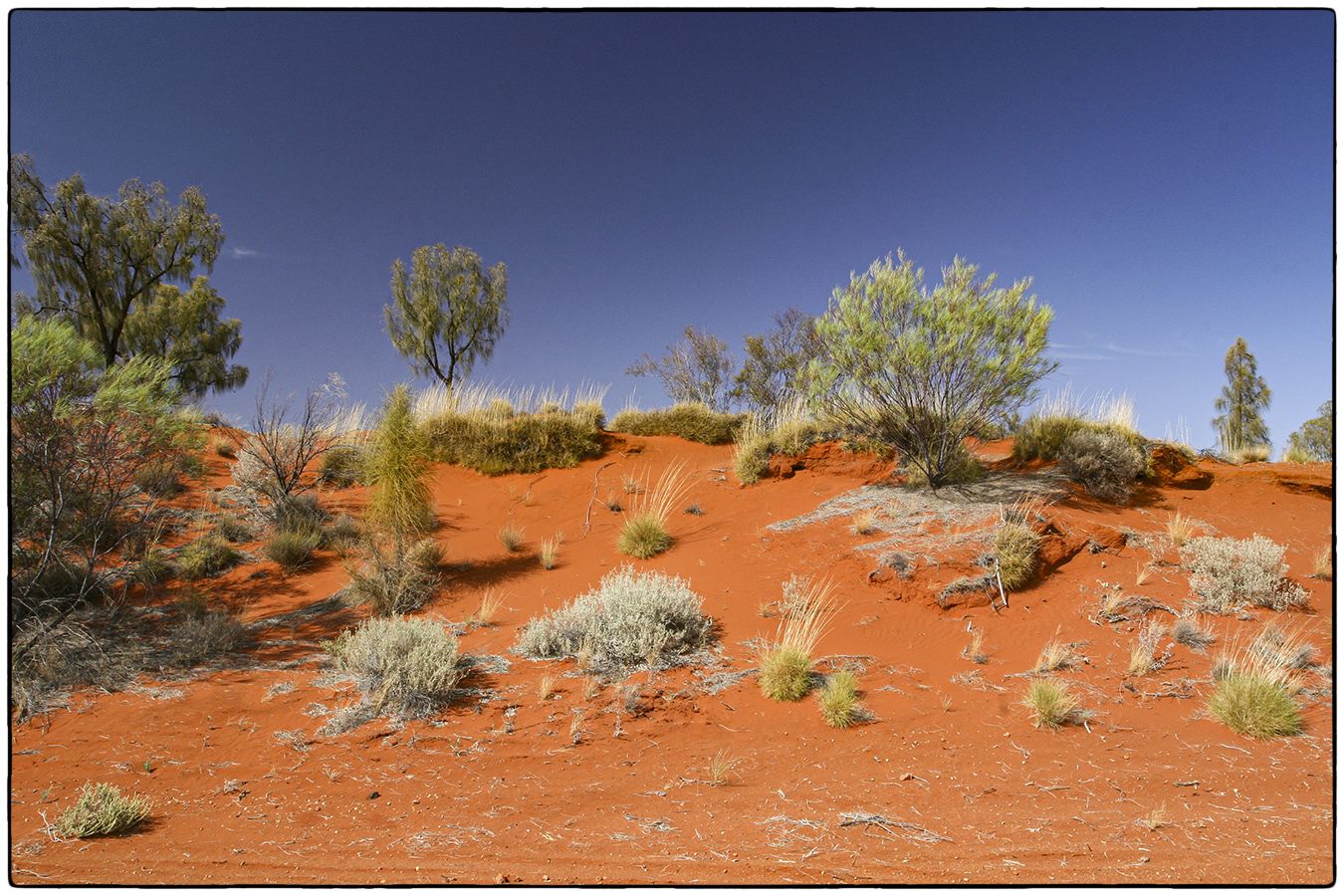 Terre rouge - Photographie Alain Besnard