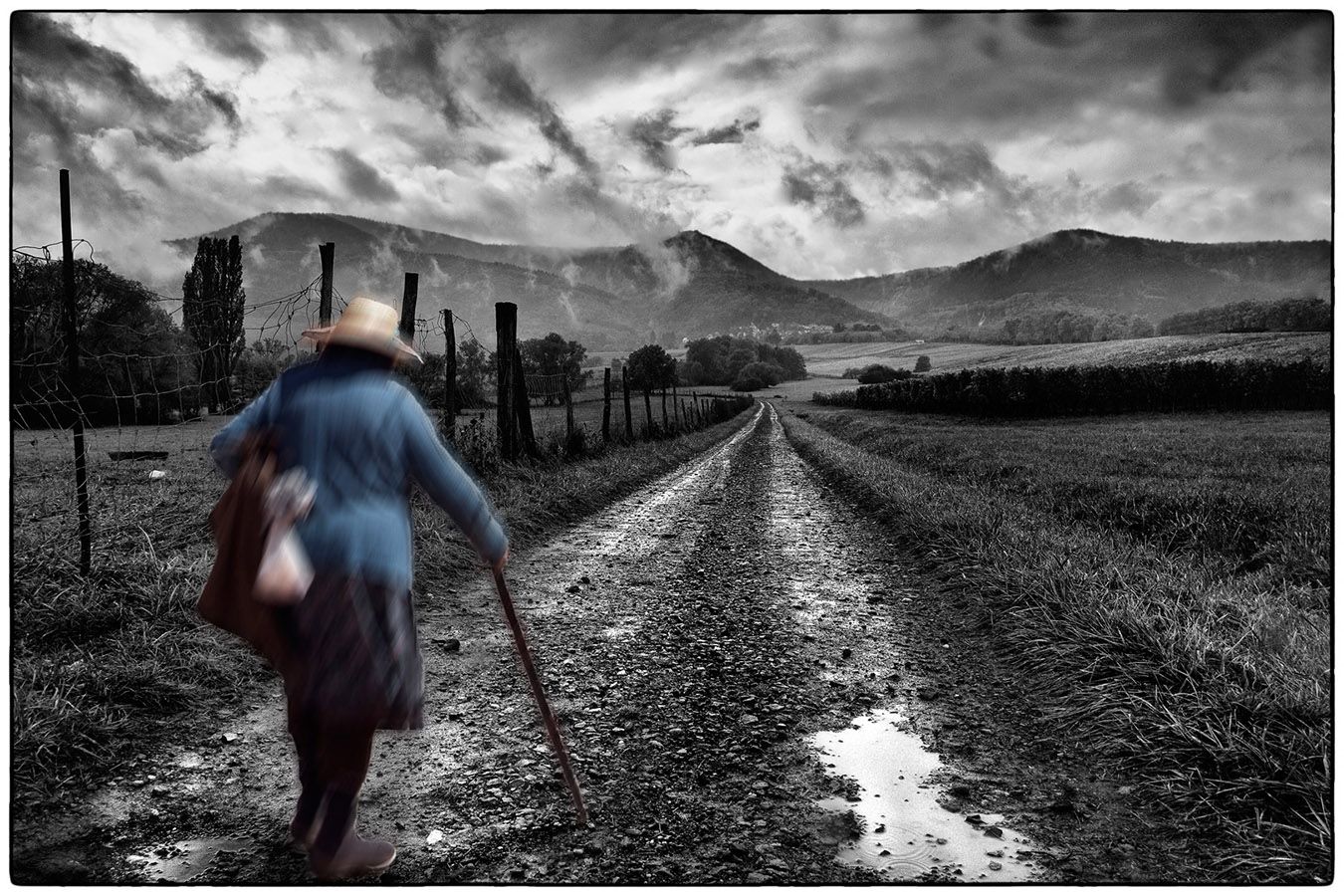 Sur le chemin - Photo Alain Besnard