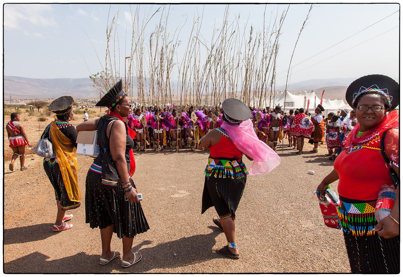 Royal Reed Dance - Photo Alain Besnard