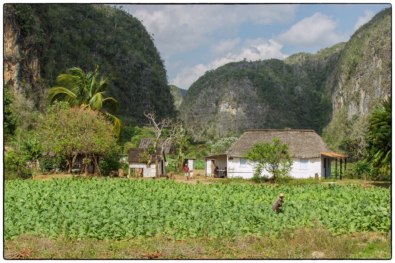 Entre les mogotes - Photo Alain Besnard