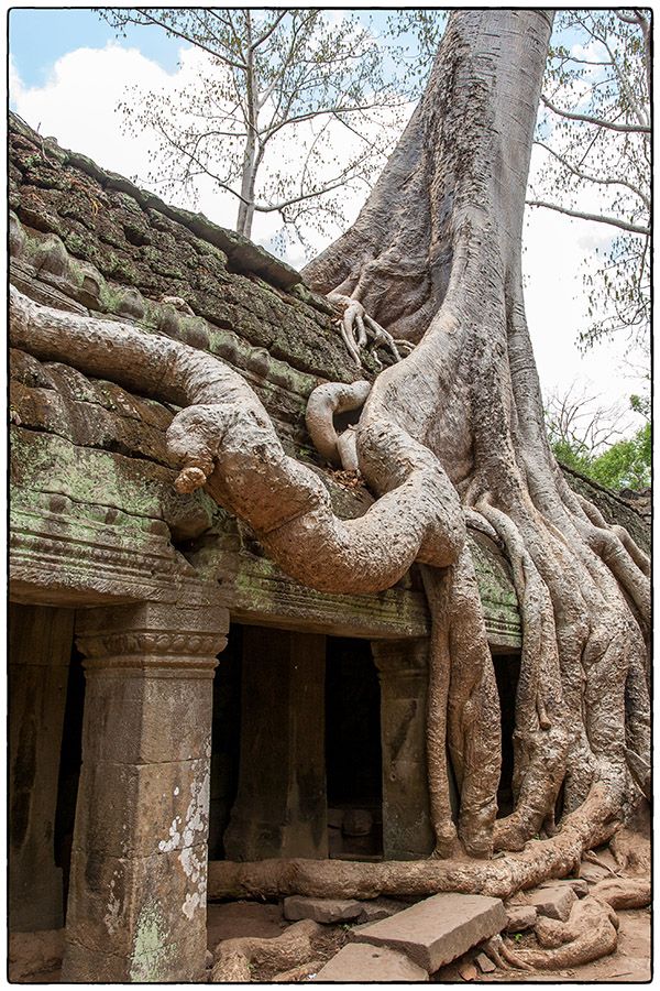 Ta Phrom MG 0702 Photo Alain Besnard