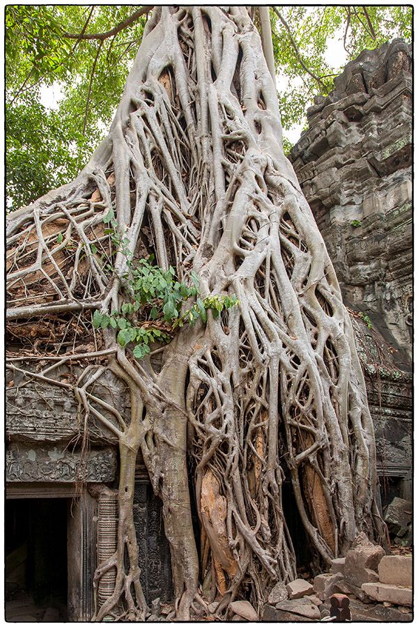 Ta Phrom MG 0704 Photo Alain Besnard