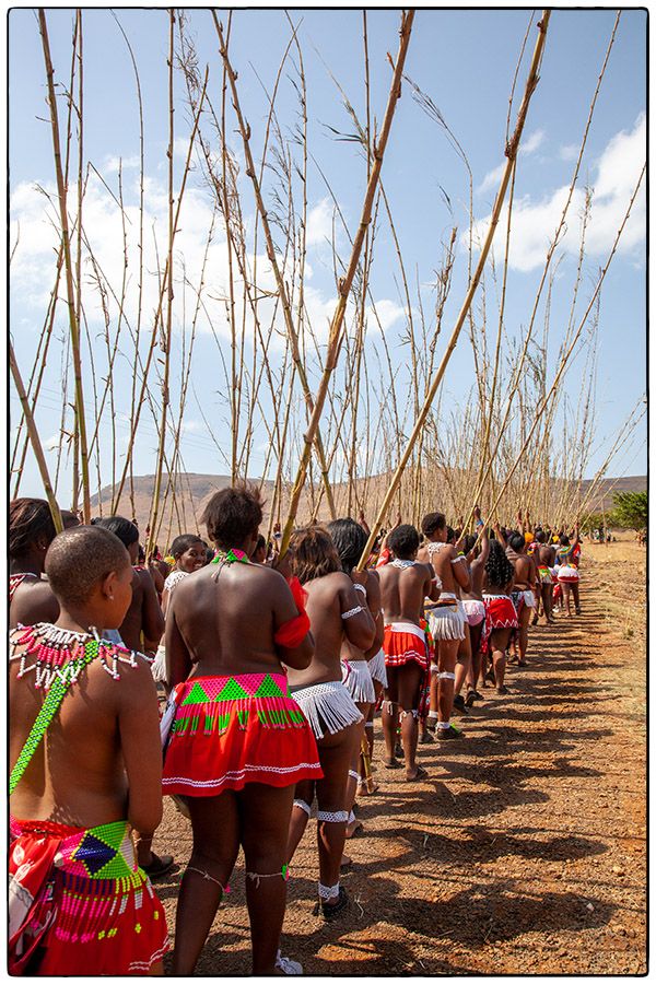 Royal Reed Dance - Le défilé - Photo Alain Besnard