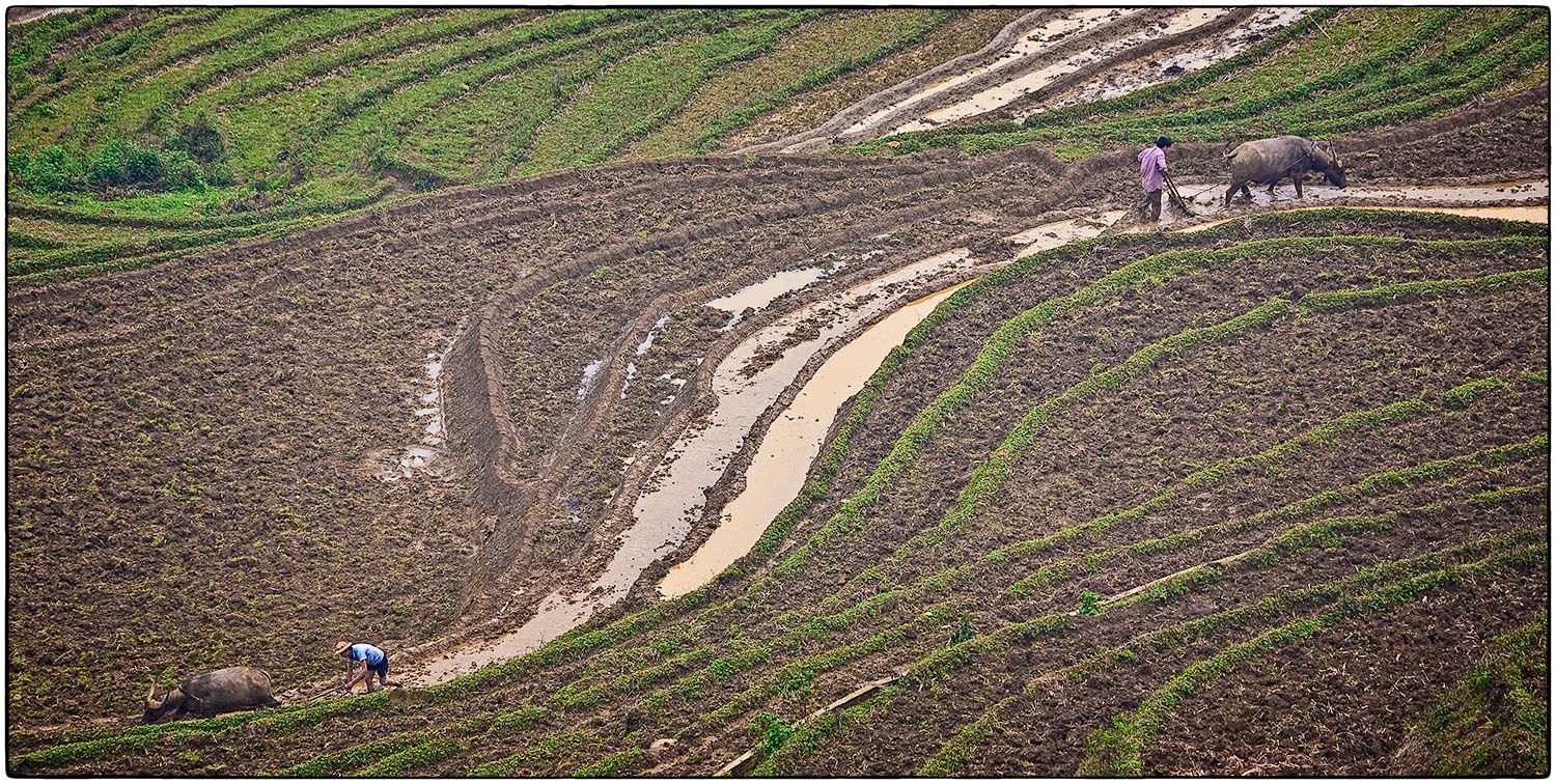 Travaux des champs -  Photo Alain Besnard