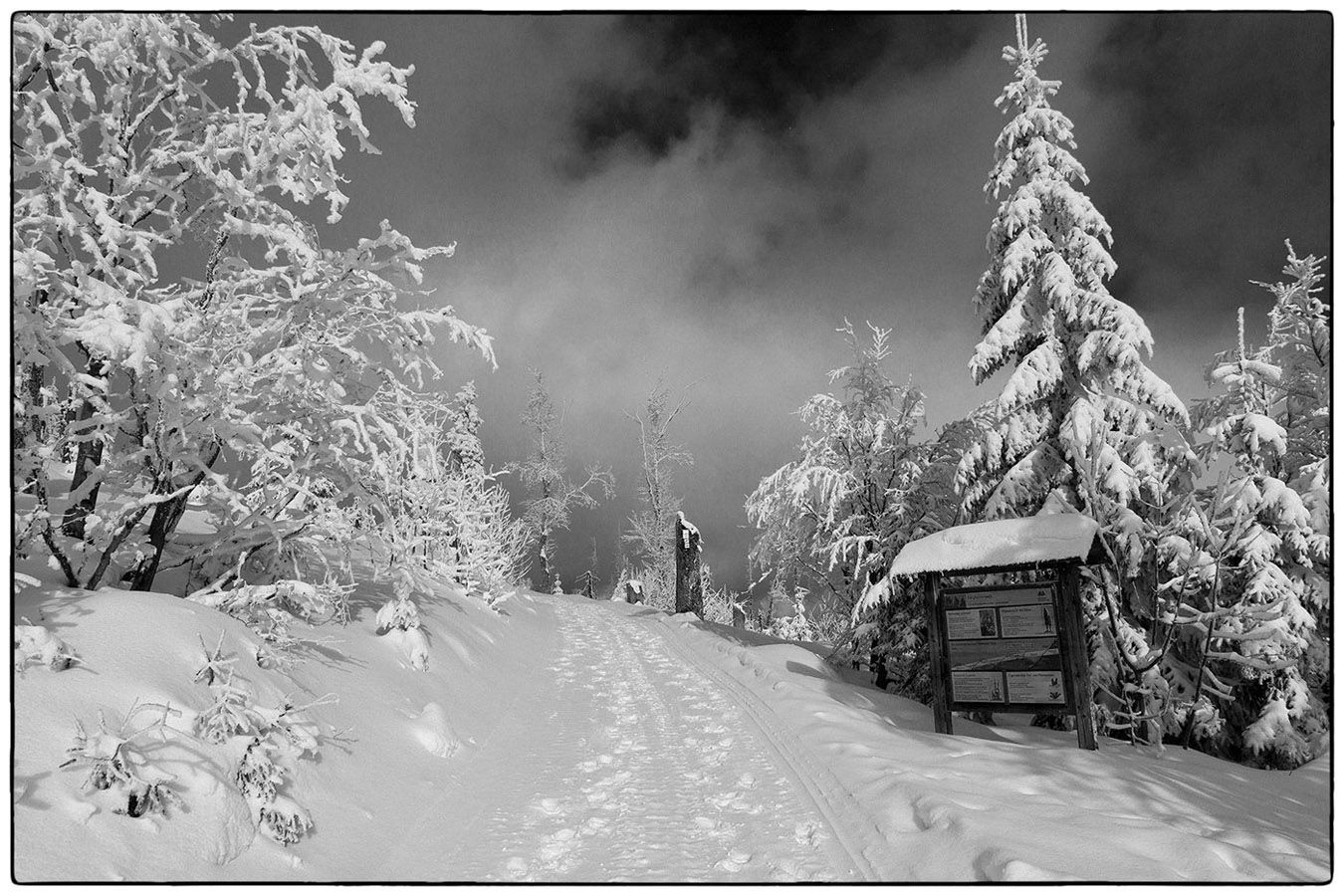 Sentier enneigé - Photo Alain Besnard