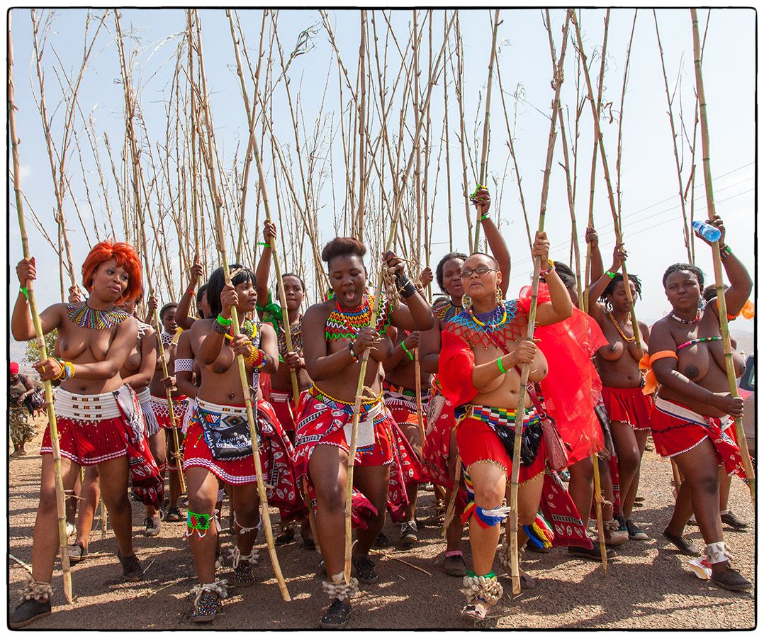 Royal Reed Dance - Photo Alain Besnard