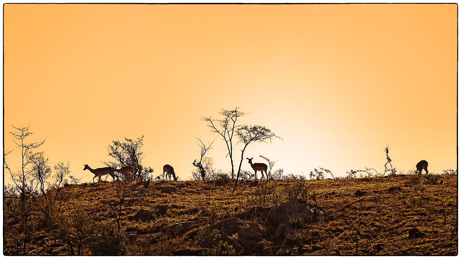 La haut, sur la colline - Photo Alain Besnard