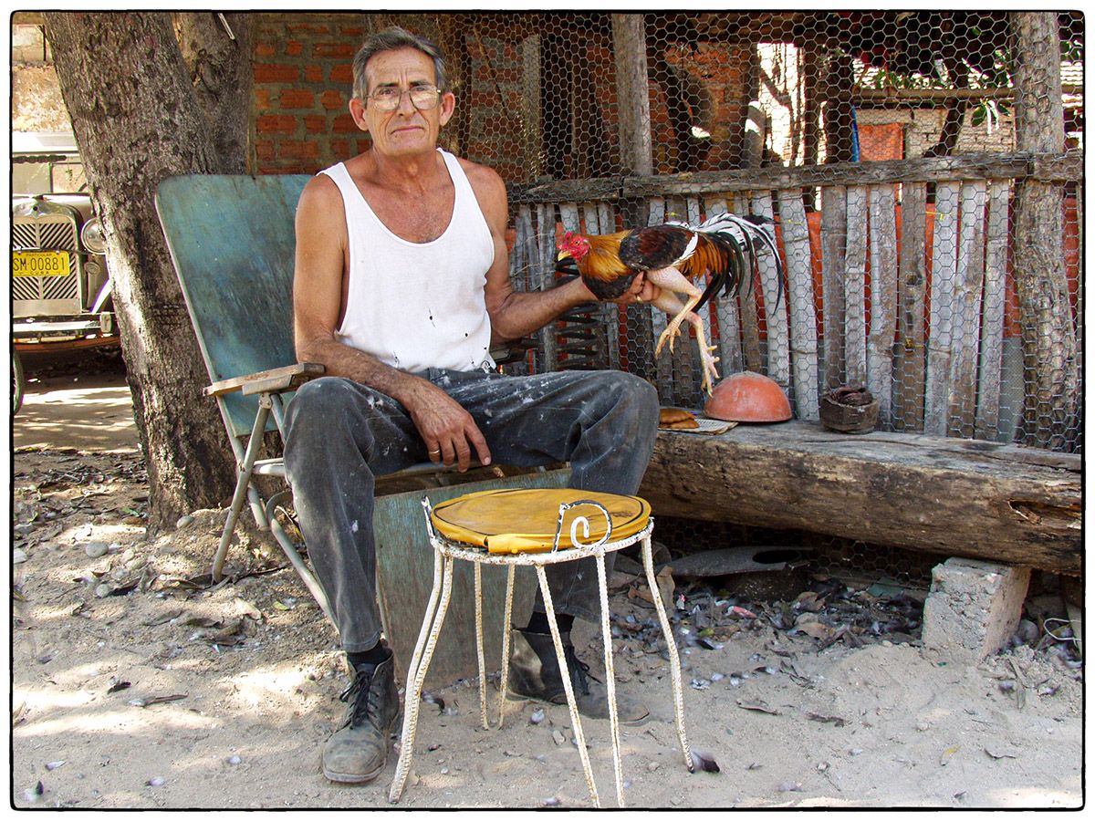 Yuniel et son coq de combat - Photo Alain Besnard