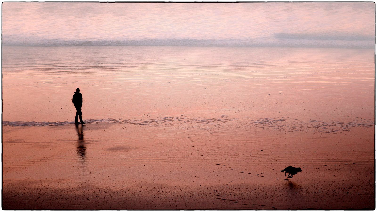 Sortie du chien de bon matin _ photo Alain Besnard