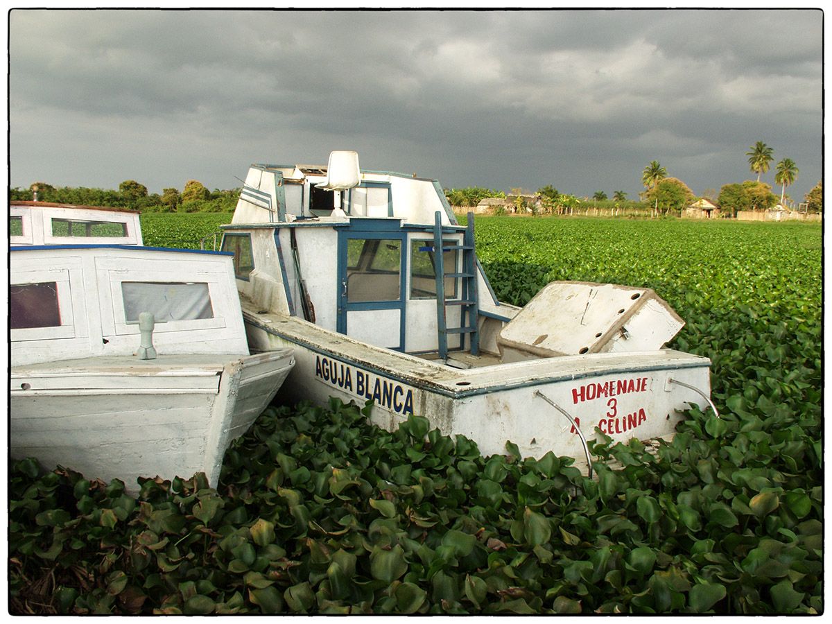 Les bateaux blancs - Photo Alain Besnard