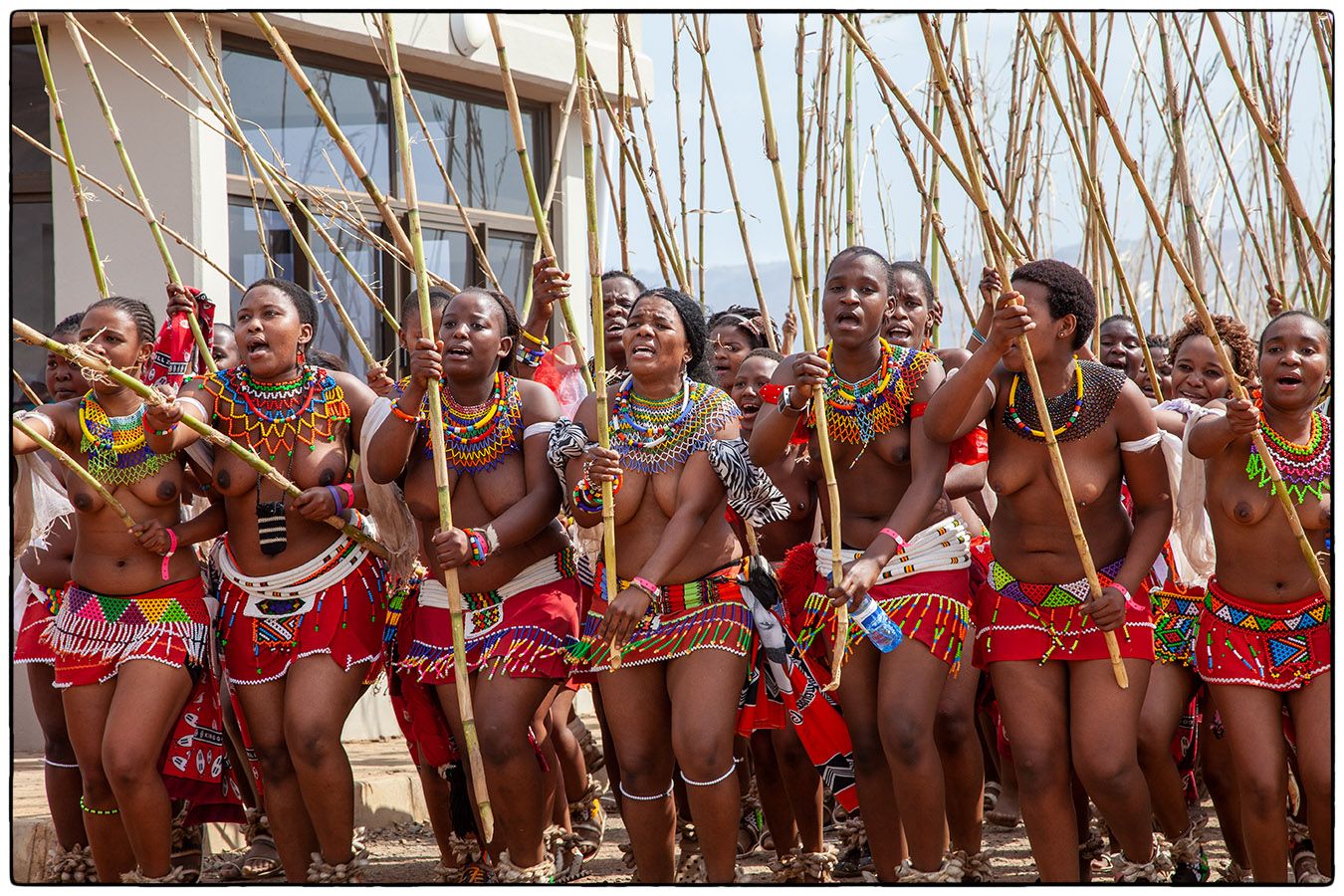Royal Reed Dance - Photo Alain Besnard