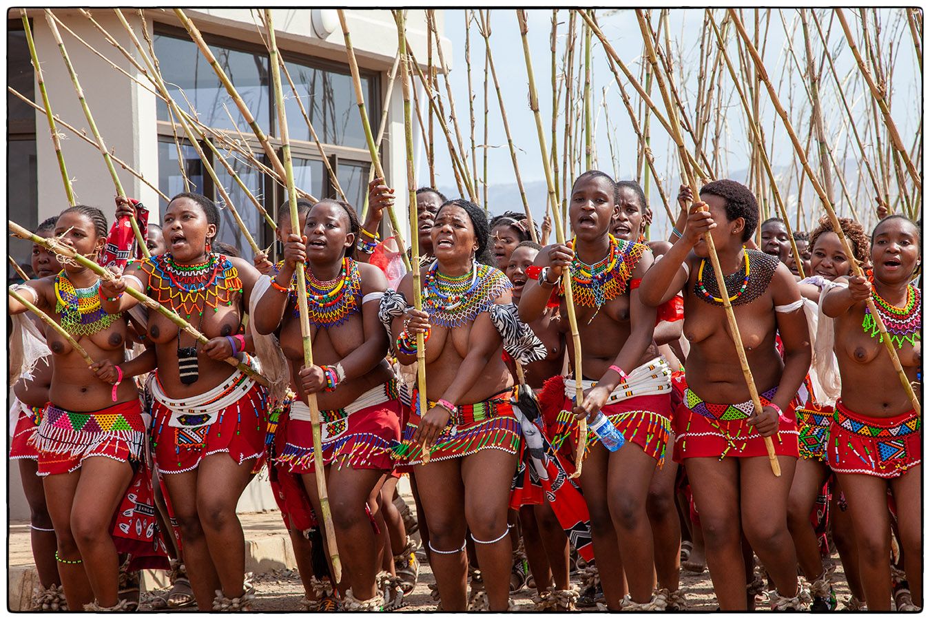 Royal Reed Dance  - Photo Alain Besnard