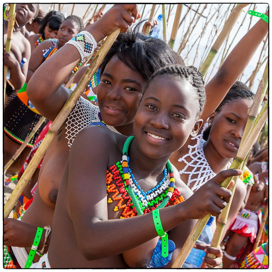 Royal Reed Dance - Photo Alain Besnard