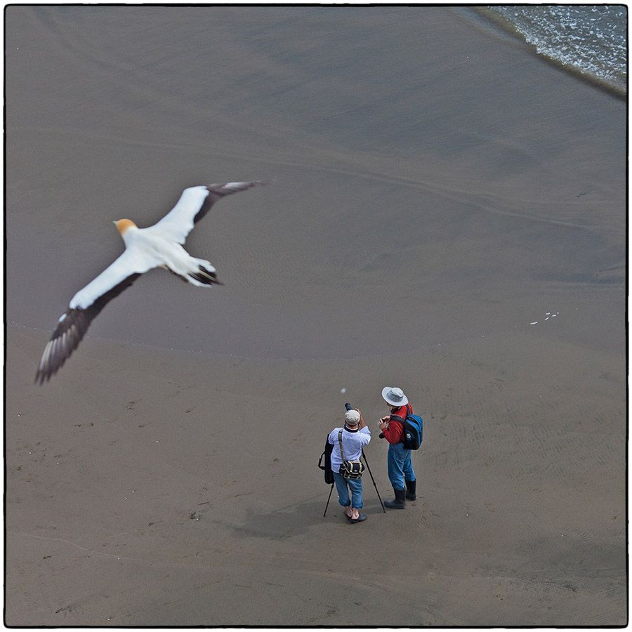 Les Photographes -  Photo Alain Besnard