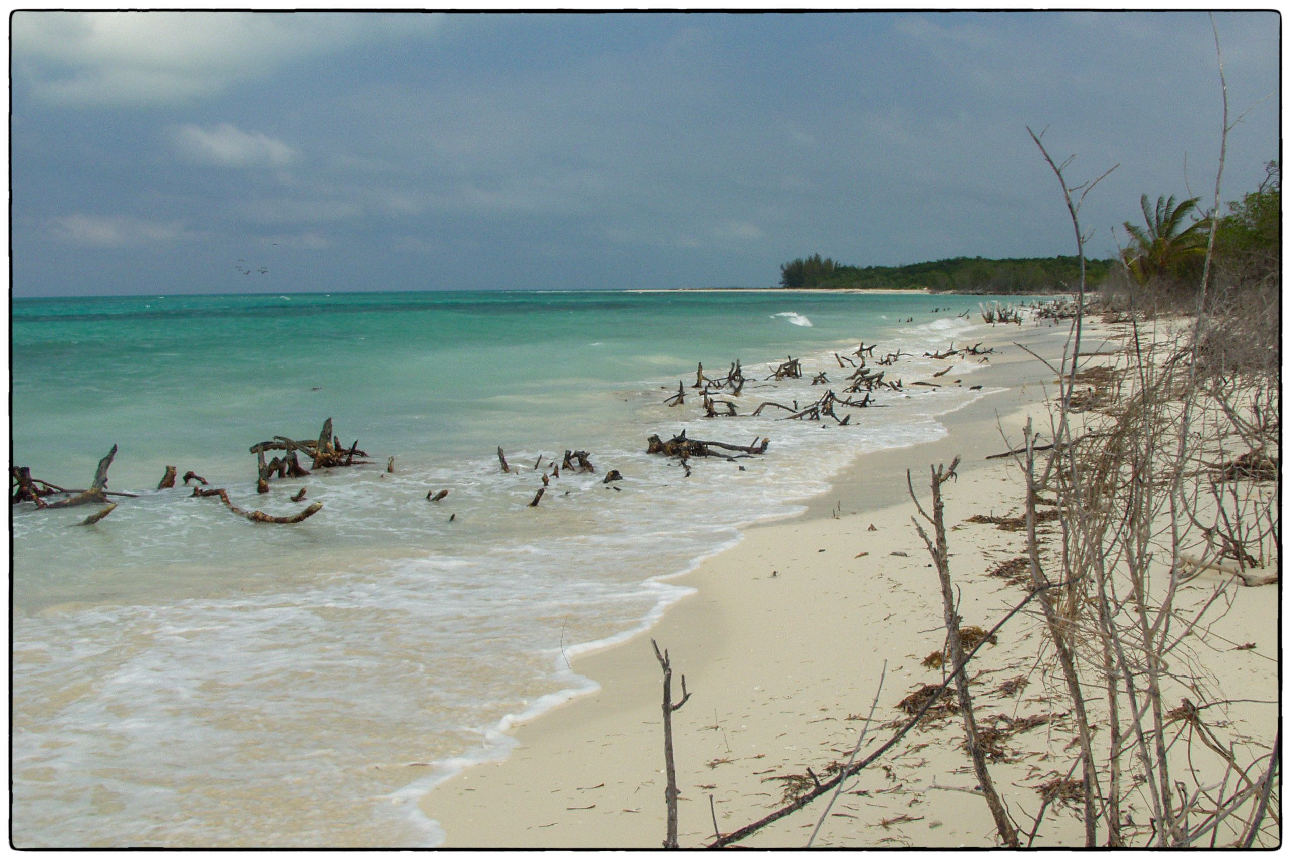 Cayo Levisa - Photo Alain Besnard