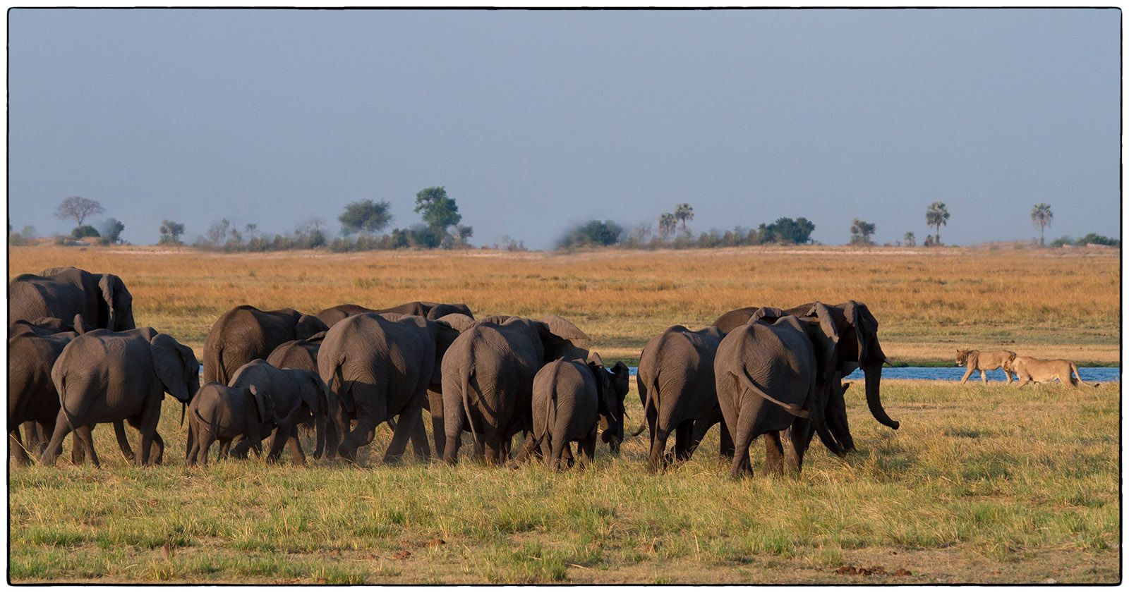 Vraiment pas peur - Photo Alain Besnard