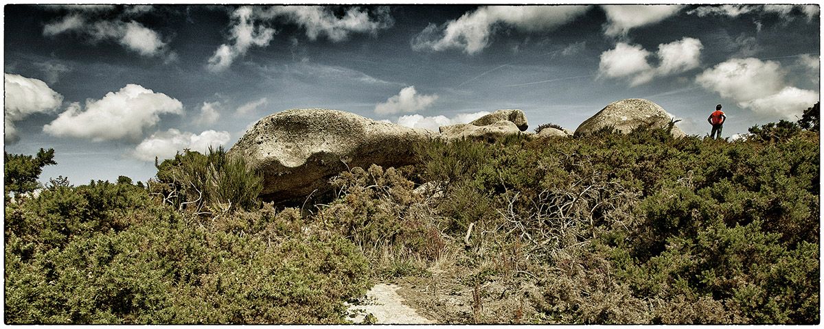 Promenade dans la lande - Photo Alain Besnard