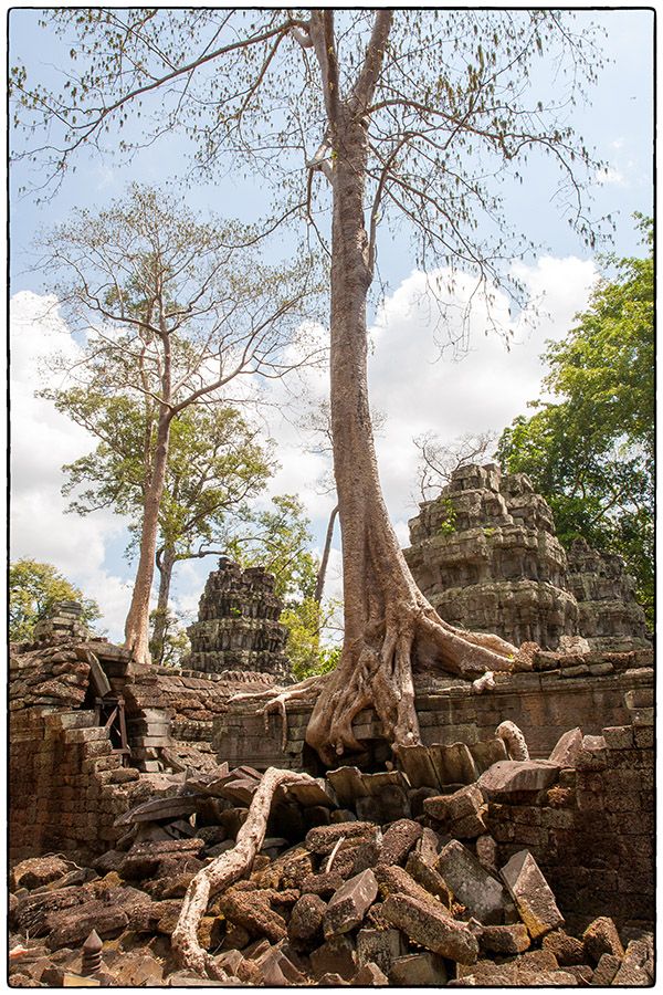 Ta Phrom MG 0691 Photo Alain Besnard