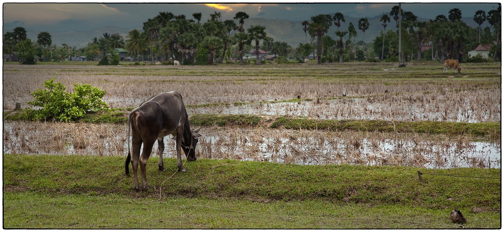 Vers Kampot_photo_Alain_Besnard.