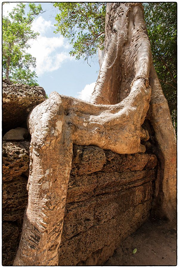 Ta Phrom MG 0677 Photo Alain Besnard