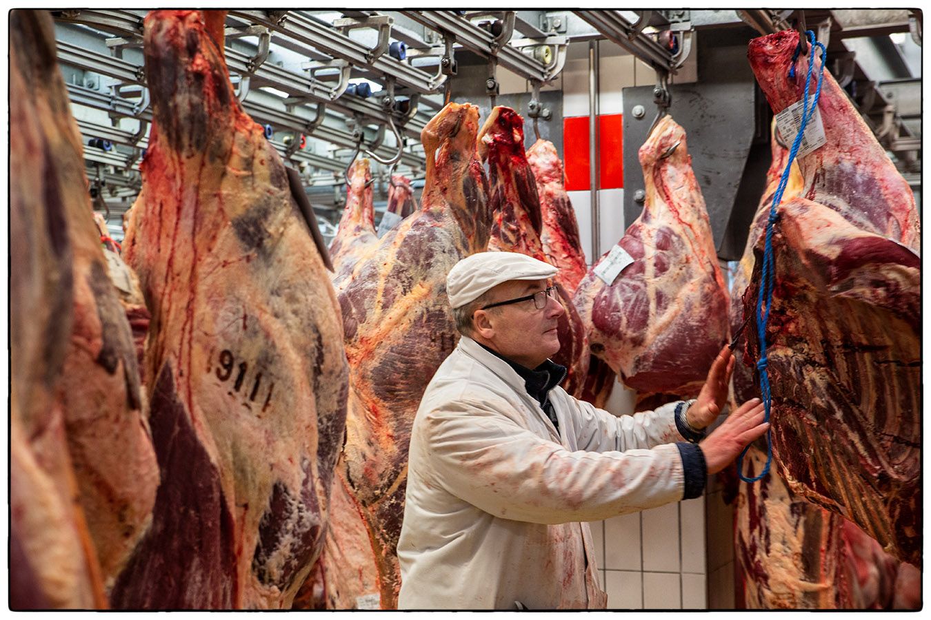 Marché de Rungis (France) - photo Alain Besnard