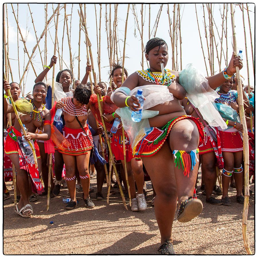 Royal Reed Dance - Photo Alain Besnard