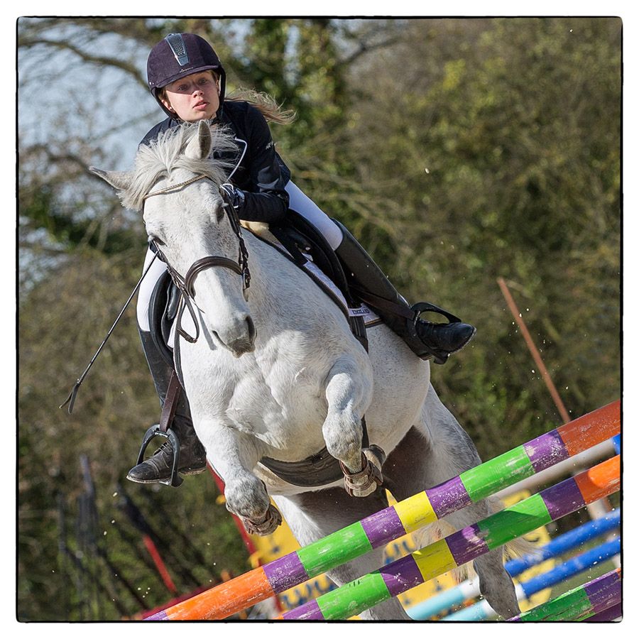 Concours hippique - Photo Alain Besnard