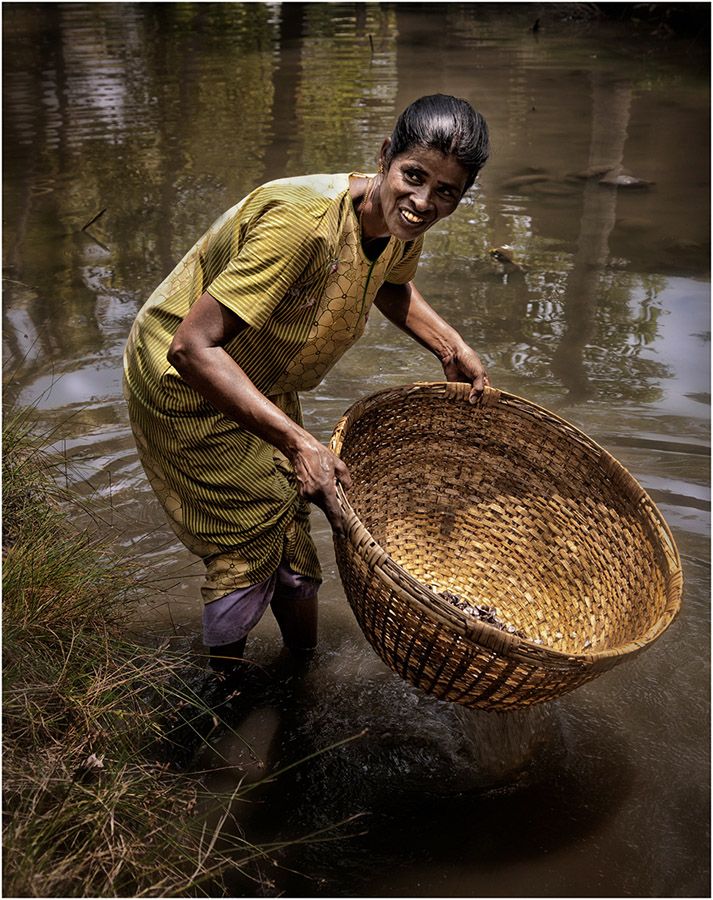 Lavage de coquillages - Photo Alain Besnard