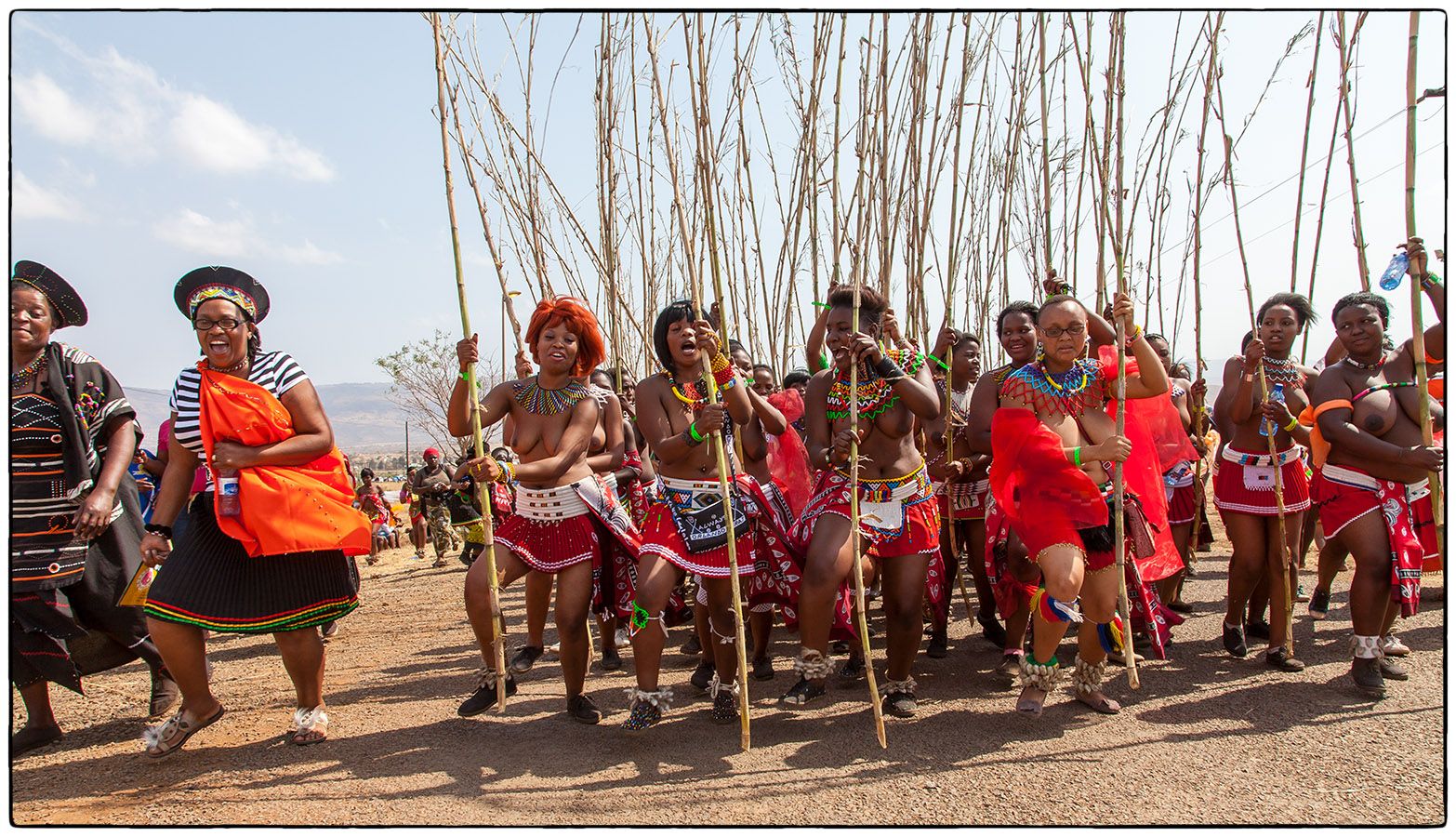Royal Reed Dance - Photo Alain Besnard