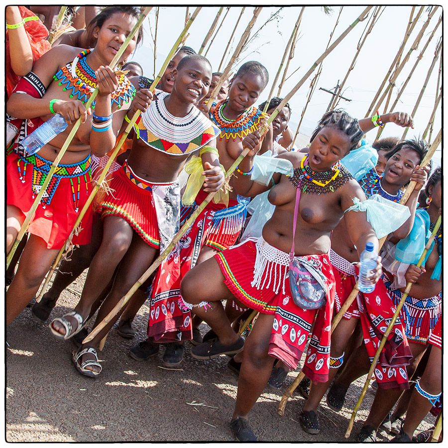 Royal Reed Dance - Photo Alain Besnard